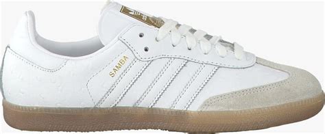 adidas samba dames kleuren|adidas samba jogger.